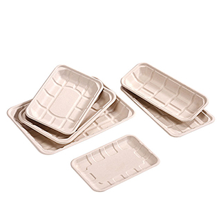 100% Biodegradable Bagasse Trays