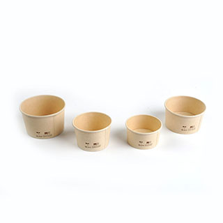 Bamboo Icecream Cups